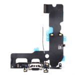 PLACA DE CARGA IP 7